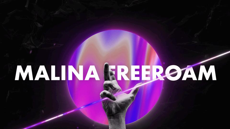 Discovery splash banner for Malina Freeroam | FiveM 🎃 Discord server