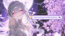 Discovery splash banner for ★ ₊ Stellar Melody 🪻 Discord server