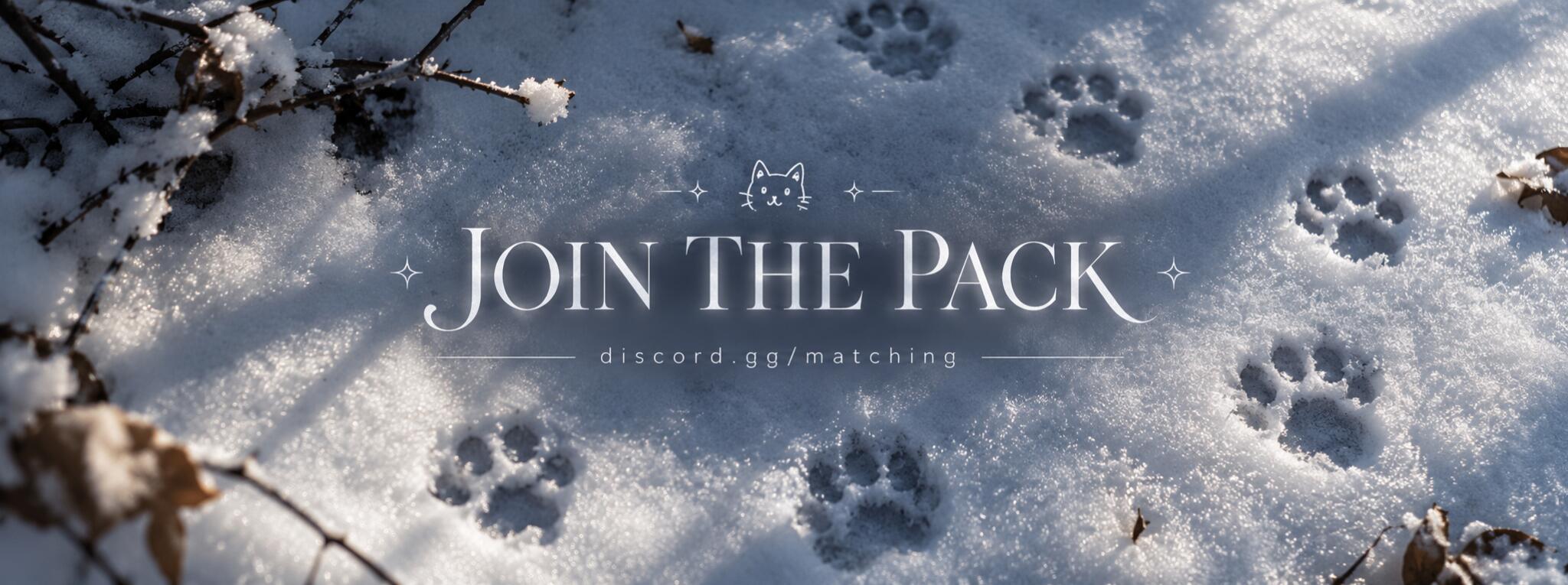 Discovery splash banner for 🎃 matching • spooky pfps • chat・Vcs • decor・art・guilds・games・giveaways・tags・emojis Discord server