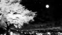 Discovery splash banner for see you 🎃 | icons • banners • chill • social • fun • vc • egirls Discord server