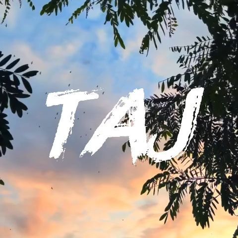 Discovery splash banner for The TAJ || Social・SFW・Active・Fun・Chilling Community Discord server