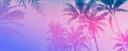 Discovery splash banner for 🌴 GTA 6 | FR Discord server