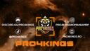 Discovery splash banner for PRO4KINGS ROMANIA Discord server