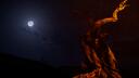 Discovery splash banner for Slenderman's Shadow Discord server