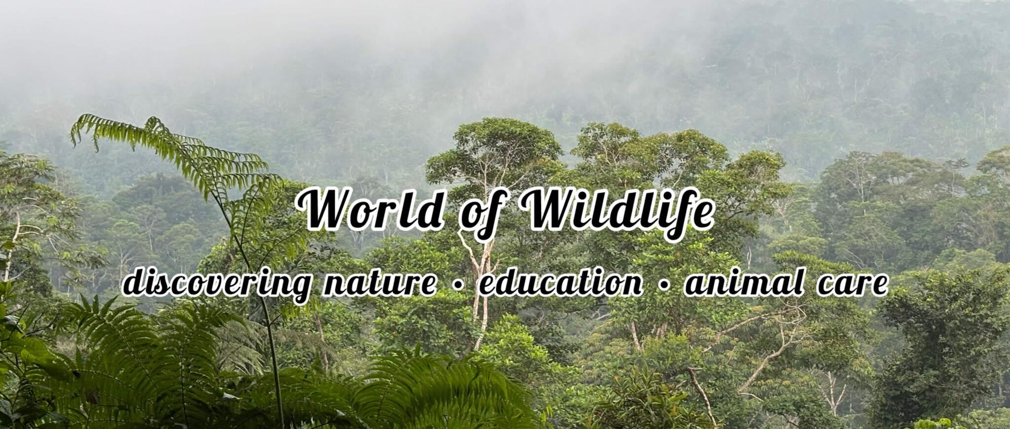 Discovery splash banner for World of Wildlife ๐ฒ Discord server