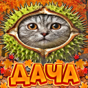 Discovery icon for 🍁Дача Зейна🍂 Discord server
