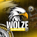 Discovery icon for Lojinha Wolze - E-Sport's 2 Discord server